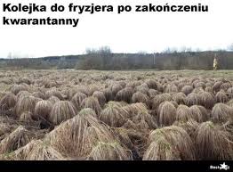 Оздоровление организма по системе сщмч. 18 Maja Otwarcie Salonow Fryzjerskich Te Memy W Sieci Bawia Do Lez Zasady Wizyt Rzeszow Eska Pl
