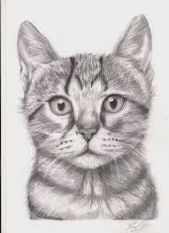 8 Marvelous Learning Pencil Drawing Ideas Kitten Drawing Animal Drawings Cat Artwork