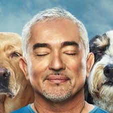 Cesar Millan (@cesarsway) • Instagram photos and videos
