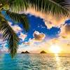 The most active volcano in the world is in hawaii, where volcanoes hold local cultural lore. Https Encrypted Tbn0 Gstatic Com Images Q Tbn And9gcqkb7qfzvnob7vnbhhrcl2d1hf Yr4 N821tzs42kwafbkqntf7 Usqp Cau