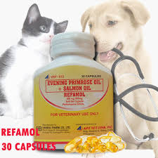 Some cats will adapt effortlessly to the new bling on their paws. Refamol Evening Primrose Oil Salmon Oil 30 Caps For Dogs And Cats Lazada Ph