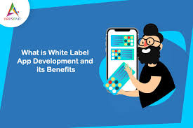 If your client's needs are simple enough, you could absolutely use an app maker and claim credit for their platform and development tools. Appsinvo What Is White Label App Development And Its Benefits