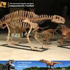 Check spelling or type a new query. Jurassic Park Life Size Lotosaurus Skeletons My Dinosaurs