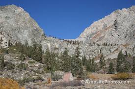 Onion valley gets its name from the wild onions that grow up here. Onion Valley Campground Campsite Photos Campsite Availability Alerts