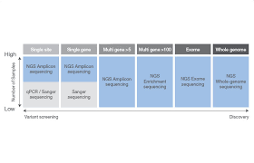 Ngs Vs Sanger Sequencing