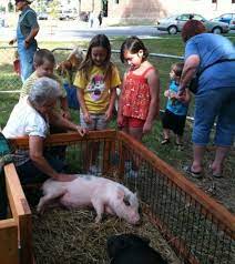 Mobile Petting Zoo Petting Zoo Party Mobile Petting Zoo Farm Fun