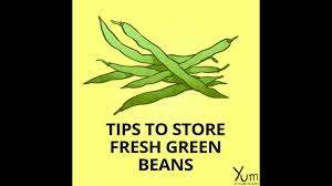 How to keep garden green beans fresh. Tips To Store Fresh Green Beans Youtube