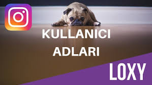 Tüm dünyada yoğun ilgi gören. Instagram Kullanici Adlari 2021 1 000 Adet Kullanici Adi Loxy