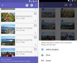 This application also helps you to organize your files, clean up your disk to have more space for memory. Diskdigger Pro File Recovery Apk Full Premium Android Mega