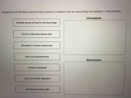 We did not find results for: From The Following List Of Options Select All That Chegg Com
