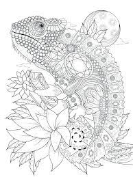 Mandala chameleon animal coloring pages printable. Colors Used For Mandala Novocom Top