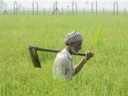 Desde 2017 oferecemos serviços e veículos ideais para trabalhar com conforto e segurança. Kerala Becomes 5th State To Pass Resolution Against Farm Laws Top Developments India News Times Of India