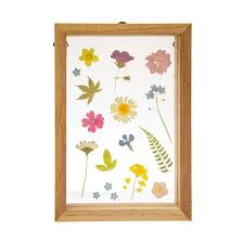 Providing beautiful bouquets & flower arrangements for that special occasion. Sass Belle Floating Frame At Mighty Ape Nz