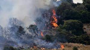 Σύμφωνα με την πυροσβεστική υπηρεσία, η φωτιά προς το παρόν καίει σε δασική περιοχή και δεν. Fwtia Twra Sto Sidhrokastro Lakwnias