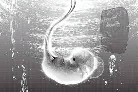 Hi Kaneki And Toukas Child Will Live Mutsuki locates kaneki and invites him back. hi kaneki and toukas child will live