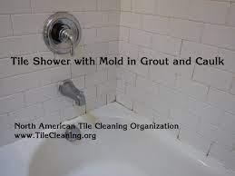 How to clean mold from shower tiles and walls: How To Clean And Remove Mold In A Ceramic Tile Shower Cleaning Mold Cleaning Shower Mold Shower Tile