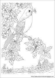 More 100 images of different animals for children's creativity. Adult Nature Coloring Pages Coloring Page For Adults Adult Coloring Pages