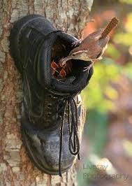 Https Www Facebook Com Pg Dougmark Productions 1845310815736740 About Bird Houses Diy Unique Bird Houses Diy Birds