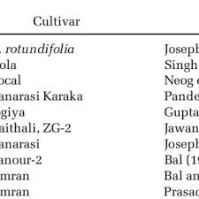 Pdf Postharvest Biology And Technology Of Ber Fruit
