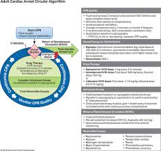 The aha is the leader in resuscitation science, education, and training, and publisher of the official guidelines for cpr and ecc.millions of healthcare providers and others trust the aha for their lifesaving training, and 100% of the aha's profits go back. Part 3 Adult Basic And Advanced Life Support 2020 American Heart Association Guidelines For Cardiopulmonary Resuscitation And Emergency Cardiovascular Care Circulation