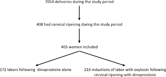 A Mathematical Model To Predict Mean Time To Delivery Following Cervical Ripening With Dinoprostone Vaginal Insert Scientific Reports
