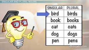 Singular Plural Nouns Lesson For Kids