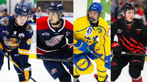 Futuro del Hockey: Predicciones y Figuras Clave del Draft NHL 2025 - Imagen principal del artículo