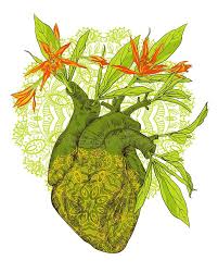 Anatomical heart with flowers,watercolor art,home decor,wall art,handmade poster,poster,watercolor painting,illustration,art. Anatomical Heart Drawing Stock Illustrations 2 093 Anatomical Heart Drawing Stock Illustrations Vectors Clipart Dreamstime