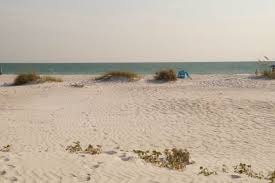 First, yanni gourde beat nick leddy to a loose rebound. Florida S West Coast Beaches Mama Mag Meer