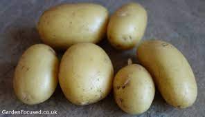 We did not find results for: Independent Assessment Of The Charlotte Potato Variety