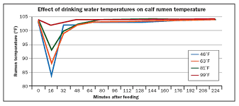 How Much Water Should Dairy Calves Drink