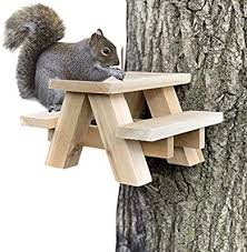 Amazon Com Rustotica Squirrel Picnic Table Feeder Mini Squirrel Bench Handcrafted With Premium Cedar Tree Mount Or S Picnic Bench Squirrel Picnic Table
