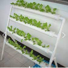 Hydroponics System Diy Nft Children S Day Sale On Carousell Hydroponics Diy Hydroponics System Hydroponics