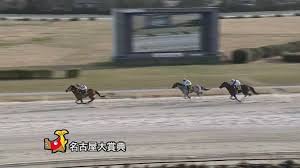 県 | 群馬県 | 山梨県 | 長野県 | 石川県 | 新潟県（ 新潟市 ）| 富山県 | 福井県 | 愛知県（ 名古屋市. 7lpx Upf6eycrm