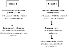 oncotarget the pro apoptotic paradox the bh3 only protein