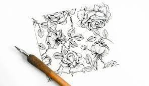 It appears very early in spring too. How To Make A Vintage Rose Illustration The Postman S Knock Roses Drawing Flower Drawing Rose Drawing
