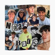 Joshua kenneth richards is a canadian social media influencer, musician, actor, host, and entrepreneur. Josh Richards Tiktok Posters Redbubble