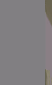 The Mann's Chapel country : a chronicle of a pioneer community, church, and  school