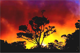 Simple Sunset Drawing At Paintingvalley Com Explore Collection Of Simple Sunset Drawing 1280 x 720 jpeg 207 кб.
