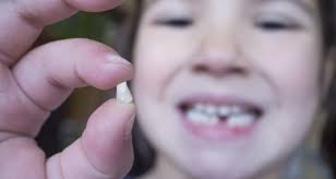 It is quite difficult to pull out a very loose tooth without any. My Five Year Old Was Traumatised Losing A Baby Tooth