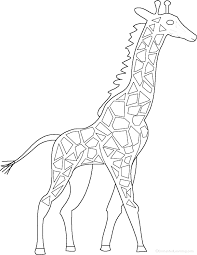 It has a wonderful patterned skin that somewhat resembles a burned off pop corn. Giraffes At Enchantedlearning Com