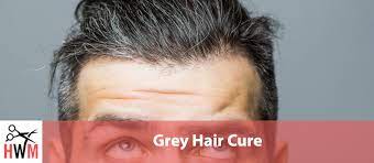 I love having clients with. Grey Hair Cure What Causes It And How To Stop It Hair World Magazine