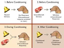 Operant Conditioning Operant Conditioning Operant Conditioning Psychology Conditioner