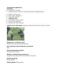 Image result for Erythrococca atrovirens