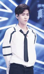 Wang Jiayi Pop Star Tv Shows Idol