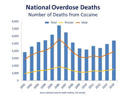 What Is The Scope Of Cocaine Use In The United States