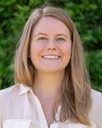 Nanoscale polymer discs, toroids and platelets: a survey of their syntheses  and potential applications