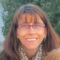 40+ "Timms" profiles