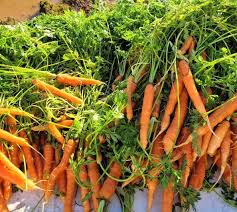 Marietta Square Farmers Market (@mariettasquarefarmersmarket) • Instagram  photos and videos