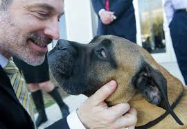 Pet cancer facility expands in Norwalk